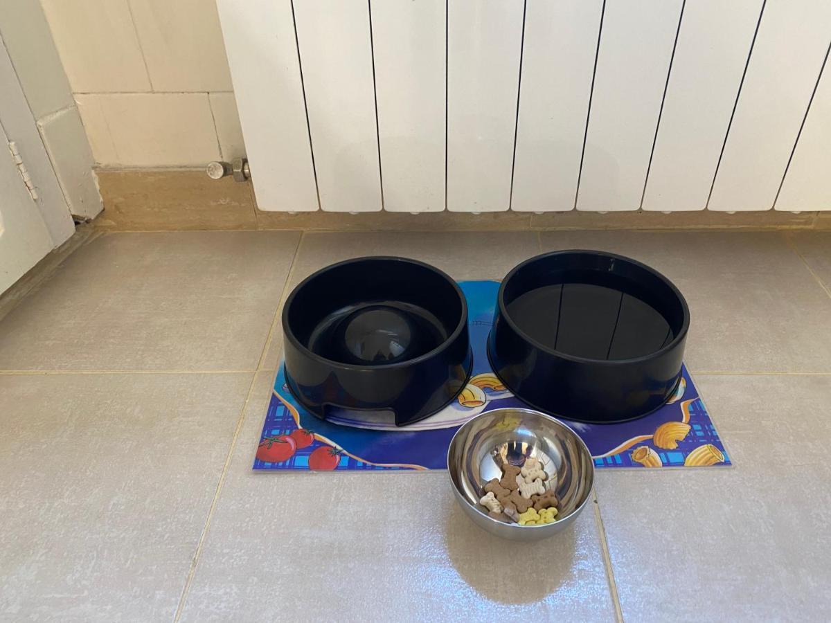 Chez Helene 3 Etoiles, Labellise Disabled Pmr,Pour 4 Personnes Chiens Bienvenus-Pet Friendly Apartment Bourg-Madame Exterior photo