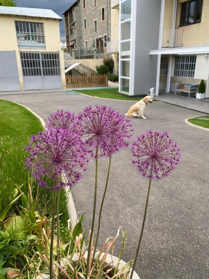 Chez Helene 3 Etoiles, Labellise Disabled Pmr,Pour 4 Personnes Chiens Bienvenus-Pet Friendly Apartment Bourg-Madame Exterior photo
